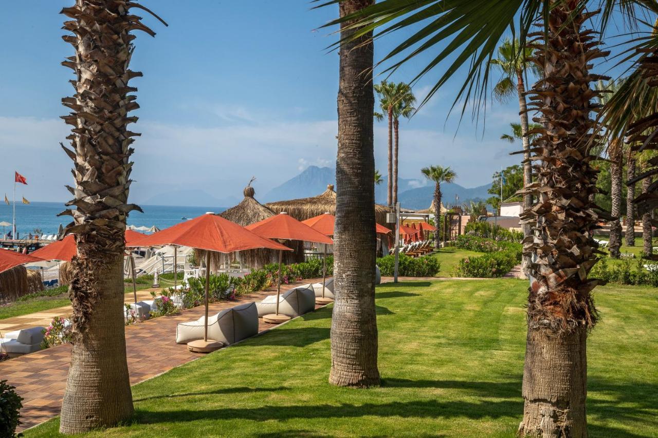 ホテル マート ミラ テキロヴァ エクステリア 写真 The beach of the hotel